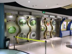 -上海昆虫博物馆