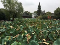 -丝绸小镇荻港古村