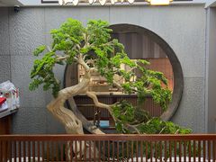 -高玛纳驴肉火烧(河间总店)