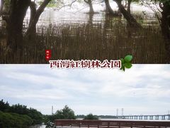 -宝安西湾红树林湿地公园