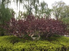 -玲珑塔公园