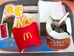 -麦当劳(茂名电白分店)