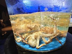 -徐记海鲜(大雁塔|金都店)
