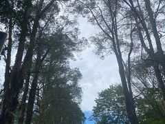 -广州市白云山风景名胜区