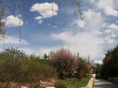 -青藏高原野生动物园