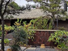 -东海森林温泉度假酒店