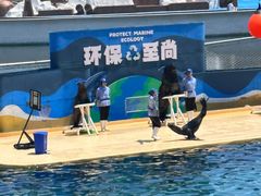 -秦皇岛乐岛海洋王国