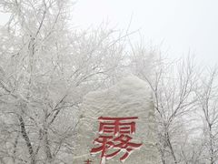 -雾凇岛