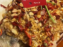 -杨氏青龙虾·羊蝎子(托乐嘉店)
