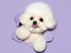 -黛汀烘焙DAINTY BAKERY(代字行合生汇店)