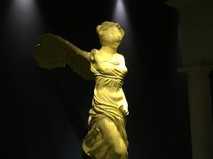 -成都泰迪熊博物馆