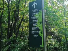 -南山植物园