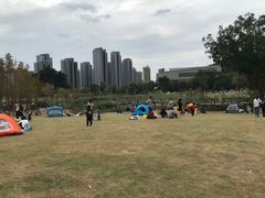 -牛岗山公园