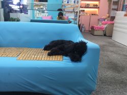 -斐尔国际皮肤管理中心