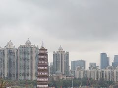 -小茶闲舍·观景商务茶馆(广州塔店)