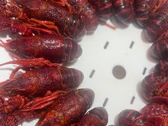 -杨氏青龙虾·羊蝎子(珠江路店)