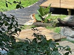 -广州长隆野生动物世界