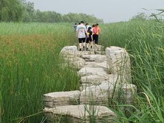 -永定河休闲森林公园