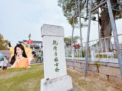 -观潮胜地公园