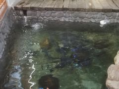 -耕渔小院·湖南鱼鲜(望城店)