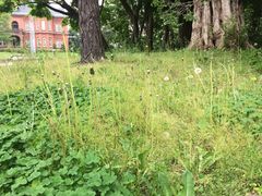 -北海道厅旧本厅舍(旧本庁舎)