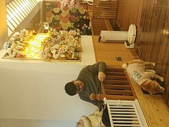 -豆柴町-柴犬主题狗咖(红鼎国际C座店)