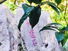 -龙井壹号·茶缘山景宴(龙井村店)