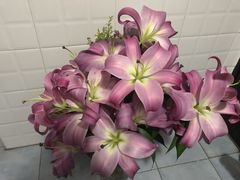 -双季花艺园艺市场(浦东店)