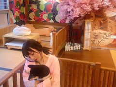 -豆柴町-柴犬主题狗咖(红鼎国际C座店)