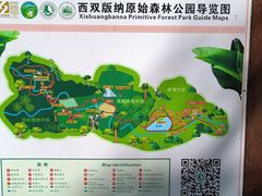 -西双版纳原始森林公园