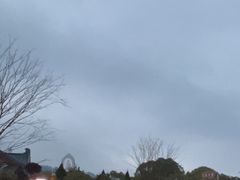 -庐山风景名胜区-东林大佛