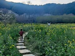 -苏州上方山国家森林公园