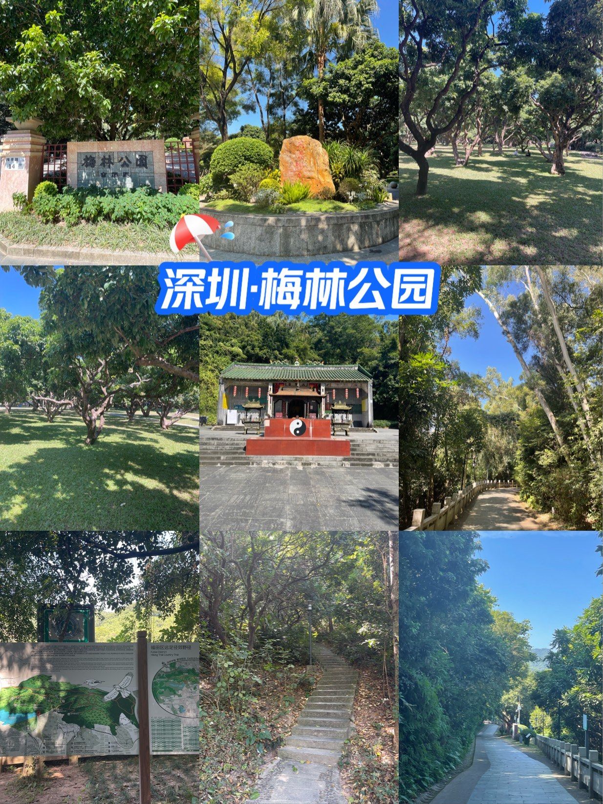 公园风光好