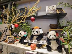 -轩客会(熊猫书店)