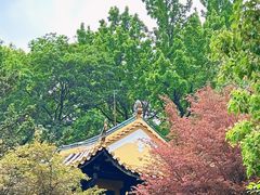 -岳麓山风景名胜区