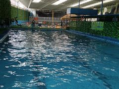 -贞山宾馆水上乐园