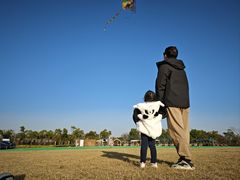-春花秋色城市公园