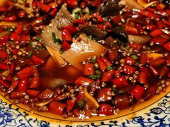 -院8里·小聚园老川菜(九眼桥店)