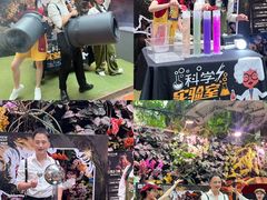 -正佳雨林生态植物园