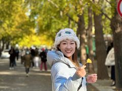 -三里屯东五街银杏大道
