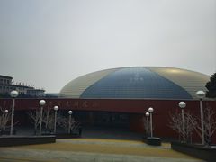 -国家大剧院