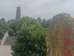 -祥源·阜阳生态乐园