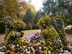 -上海共青森林公园