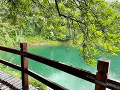 -千岛湖东南湖区
