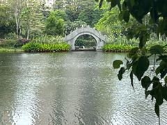 -四海公园(南山区)