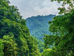 -西岭雪山大飞水景区
