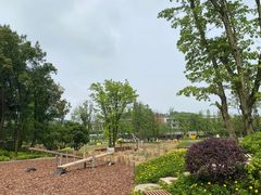 -铁山坪森林公园