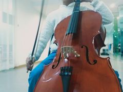 -爱乐蒙艺术·古筝 钢琴 声乐(科华校区)