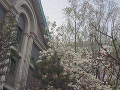 -星光教育超市(传媒大学店)