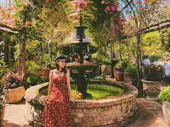 -The Grounds of Alexandria